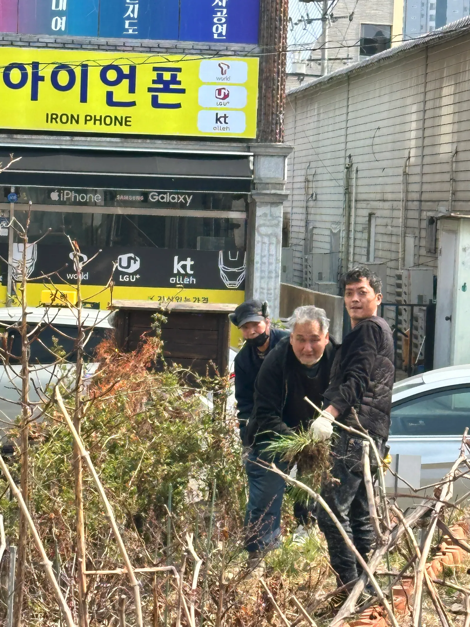 마을 공원 환경 미화 봉사 현장
